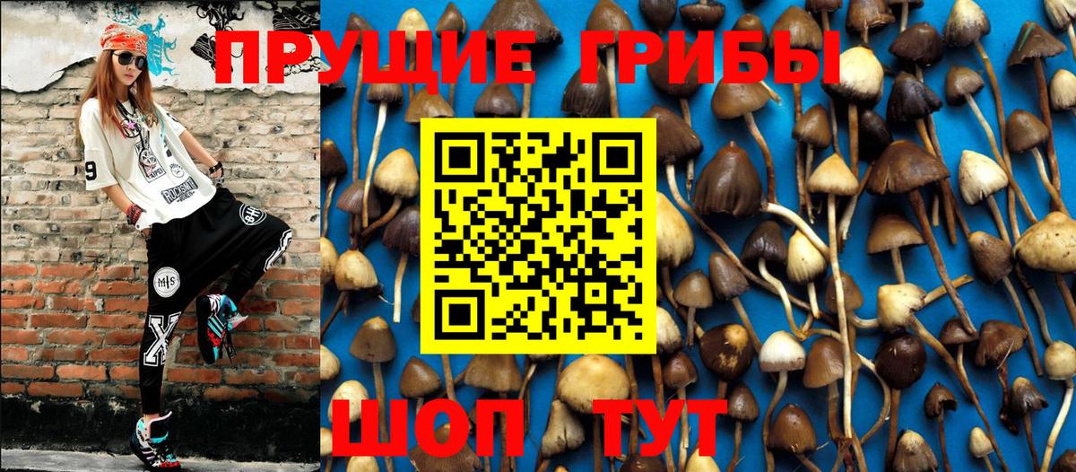 Псилоцибиновые грибы ЛСД Коломна